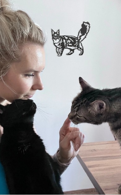 photo-finales-carroussel-123cats-10